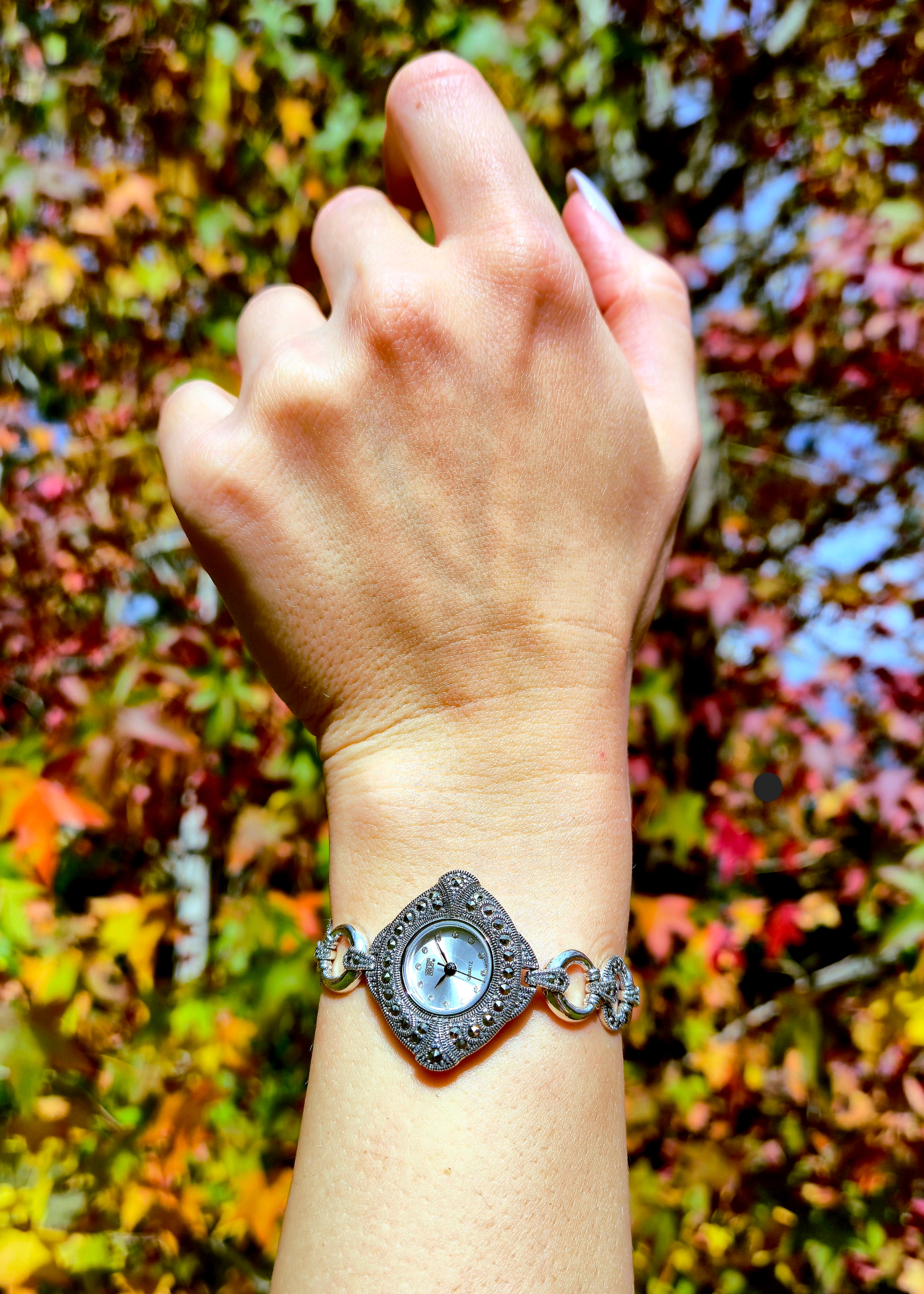 Luna Watch